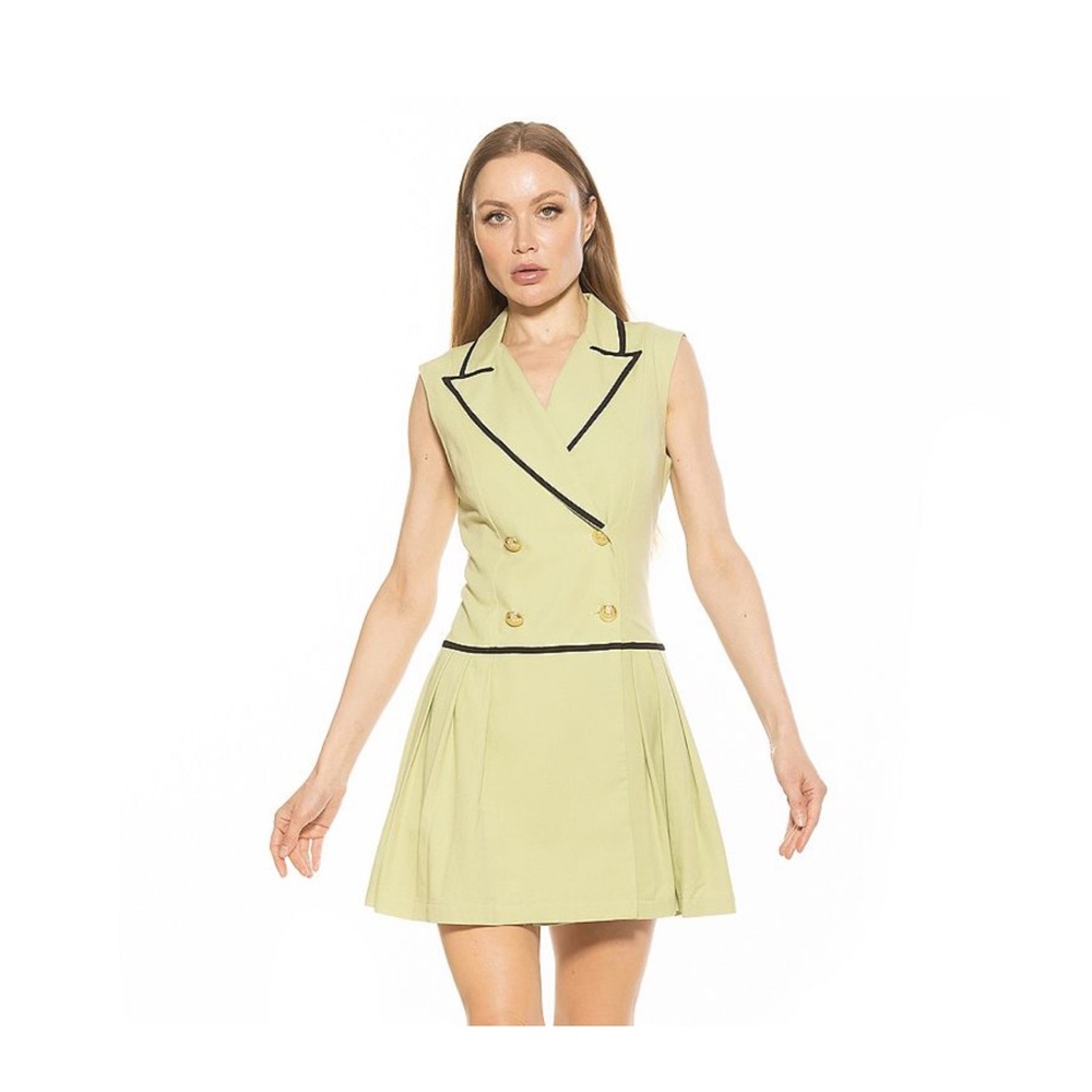 Alexia Admor Light Green Dress with Black Accents